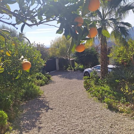 456 Chemin De La Pinede Leilighet Menton Eksteriør bilde